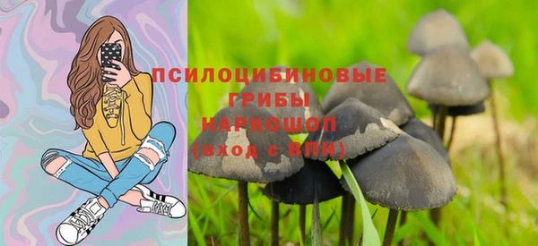 твердый Абинск