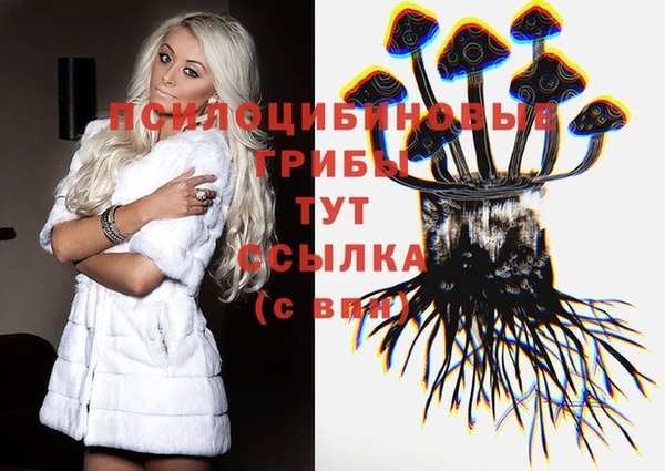 2c-b Абаза