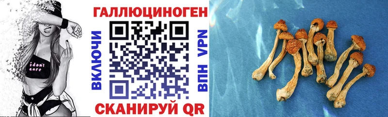Галлюциногенные грибы мицелий  Новопавловск 
